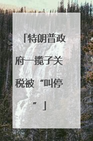 特朗普政府一揽子关税被“叫停”