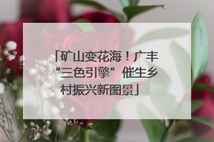 矿山变花海！广丰“三色引擎”催生乡村振兴新图景