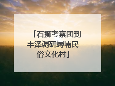 石狮考察团到丰泽调研蟳埔民俗文化村