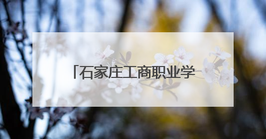 石家庄工商职业学院：传统技艺进校园焕发青春活力