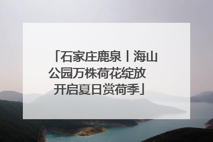 石家庄鹿泉丨海山公园万株荷花绽放 开启夏日赏荷季