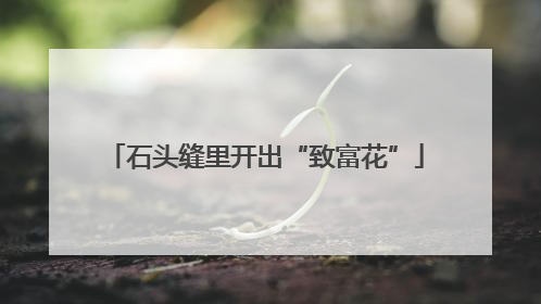 石头缝里开出“致富花”