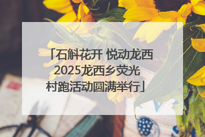 石斛花开 悦动龙西 2025龙西乡荧光村跑活动圆满举行