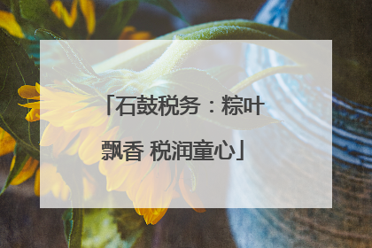 石鼓税务：粽叶飘香 税润童心