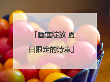 睡莲绽放 夏日限定的诗意
