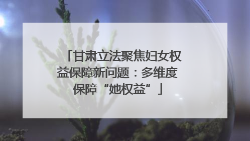 甘肃立法聚焦妇女权益保障新问题：多维度保障“她权益”