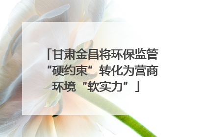 甘肃金昌将环保监管“硬约束”转化为营商环境“软实力”