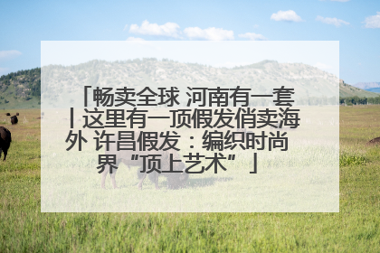畅卖全球 河南有一套丨这里有一顶假发俏卖海外 许昌假发：编织时尚界“顶上艺术”