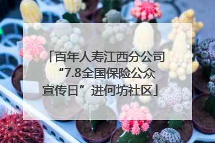 百年人寿江西分公司“7.8全国保险公众宣传日”进何坊社区