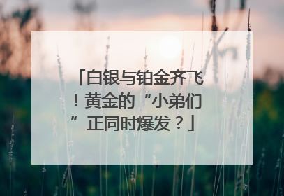 白银与铂金齐飞！黄金的“小弟们”正同时爆发？