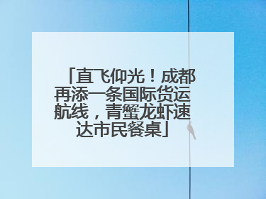 直飞仰光！成都再添一条国际货运航线，青蟹龙虾速达市民餐桌