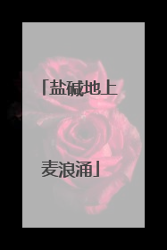 盐碱地上麦浪涌