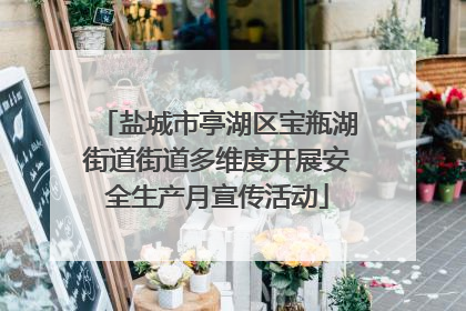 盐城市亭湖区宝瓶湖街道街道多维度开展安全生产月宣传活动