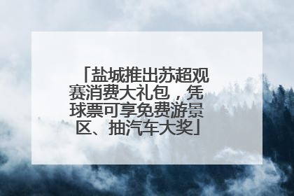 盐城推出苏超观赛消费大礼包，凭球票可享免费游景区、抽汽车大奖