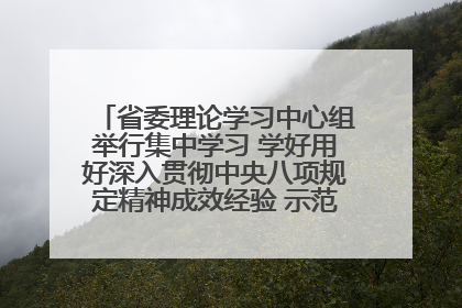 省委理论学习中心组举行集中学习 学好用好深入贯彻中央八项规定精神成效经验 示范带头持续推动全省学习教育走深走实