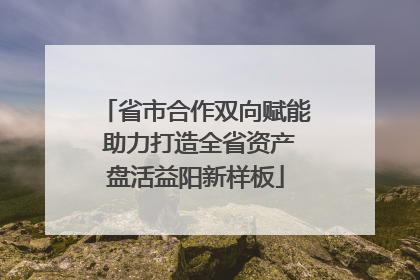 省市合作双向赋能 助力打造全省资产盘活益阳新样板