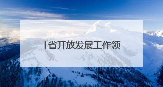 省开放发展工作领导小组会议召开