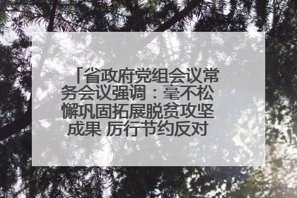 省政府党组会议常务会议强调：毫不松懈巩固拓展脱贫攻坚成果 厉行节约反对浪费弘扬优良作风