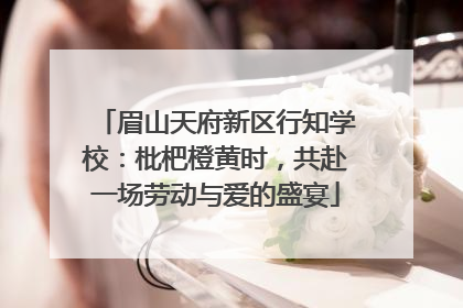 眉山天府新区行知学校：枇杷橙黄时，共赴一场劳动与爱的盛宴