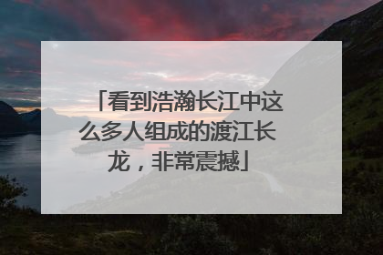 看到浩瀚长江中这么多人组成的渡江长龙，非常震撼