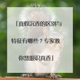 真假沉香的区别与特征有哪些？专家教你慧眼识真香