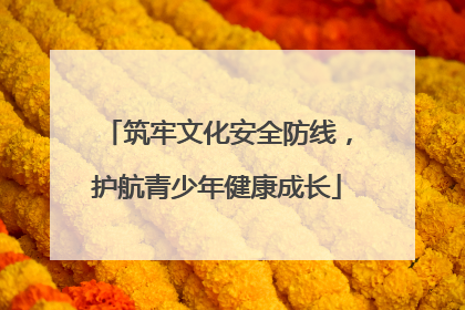 筑牢文化安全防线，护航青少年健康成长