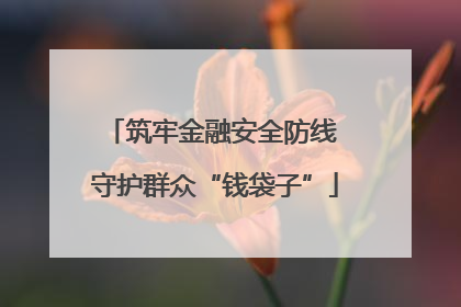 筑牢金融安全防线 守护群众“钱袋子”