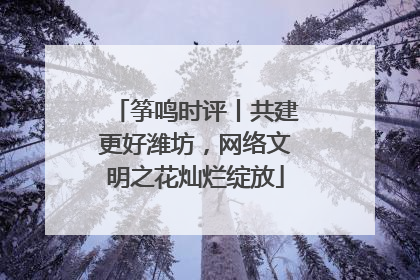 筝鸣时评丨共建更好潍坊，网络文明之花灿烂绽放