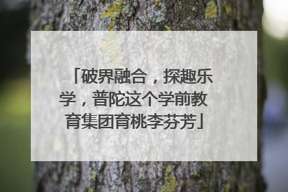 破界融合，探趣乐学，普陀这个学前教育集团育桃李芬芳