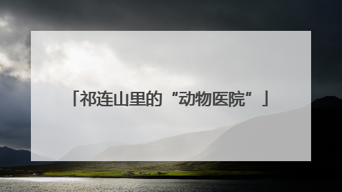 祁连山里的“动物医院”