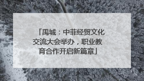 禹城：中菲经贸文化交流大会举办，职业教育合作开启新篇章
