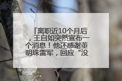 离职近10个月后，王自如突然宣布一个消息！他还感谢董明珠雷军，回应“没看过格力工资条”：真的不那么重要！