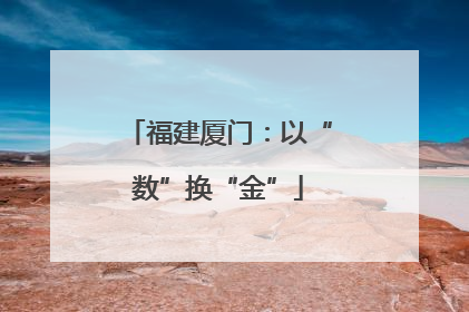 福建厦门：以“数”换“金”