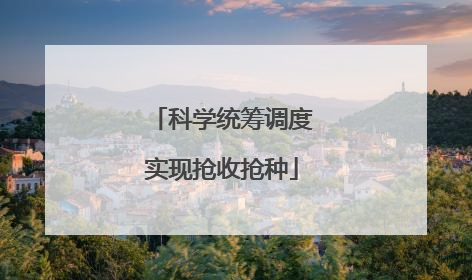 科学统筹调度实现抢收抢种