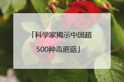 科学家揭示中国超500种毒蘑菇