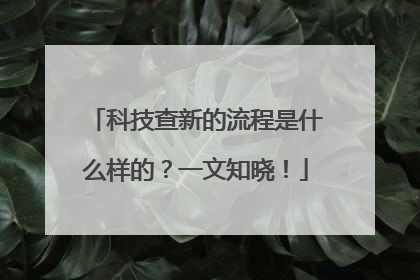 科技查新的流程是什么样的？一文知晓！