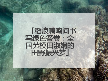 稻浪鸭鸣间书写绿色答卷：全国劳模田淑娴的田野振兴梦