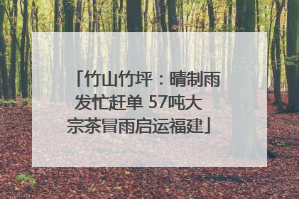 竹山竹坪：晴制雨发忙赶单 57吨大宗茶冒雨启运福建
