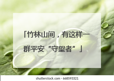 竹林山间，有这样一群平安“守望者”