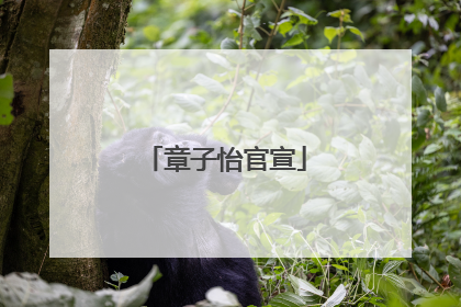 章子怡官宣