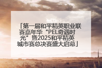 第一届和平精英职业联赛嘉年华“PEL奇遇时光”暨2025和平精英城市赛总决赛盛大启幕