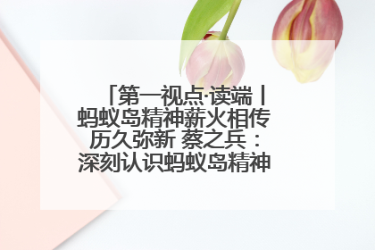 第一视点·读端丨蚂蚁岛精神薪火相传历久弥新 蔡之兵：深刻认识蚂蚁岛精神的“精气神”