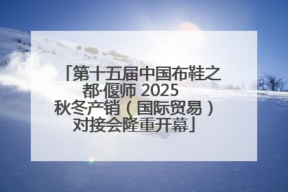 第十五届中国布鞋之都·偃师 2025 秋冬产销（国际贸易）对接会隆重开幕