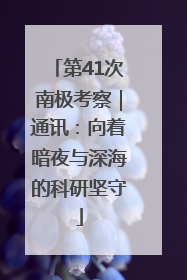 第41次南极考察｜通讯：向着暗夜与深海的科研坚守