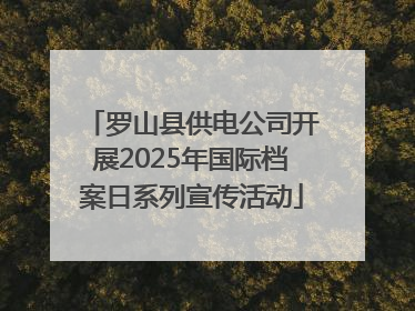 罗山县供电公司开展2025年国际档案日系列宣传活动