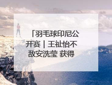 羽毛球印尼公开赛｜王祉怡不敌安洗莹 获得女单亚军
