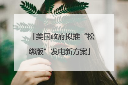 美国政府拟推“松绑版”发电新方案