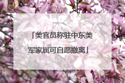 美官员称驻中东美军家属可自愿撤离