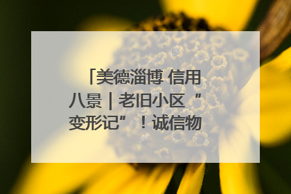 美德淄博 信用八景｜老旧小区“变形记”！诚信物业焐热居民心窝