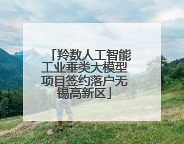 羚数人工智能工业垂类大模型项目签约落户无锡高新区